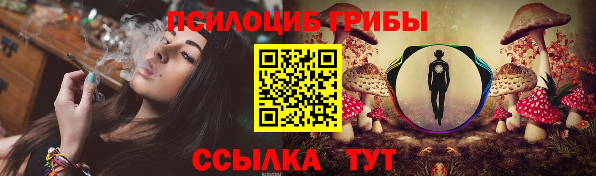 Галлюциногенные грибы мухоморы Железноводск